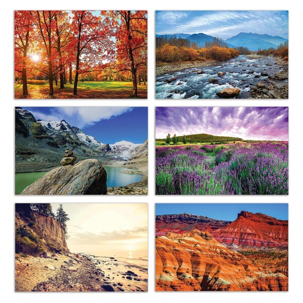 Better Office Products All Occasion Greeting Cards & Envs, 4in. x 6in. 6 Nature Americana Designs, Blank Inside, 50PK 64569 - main
